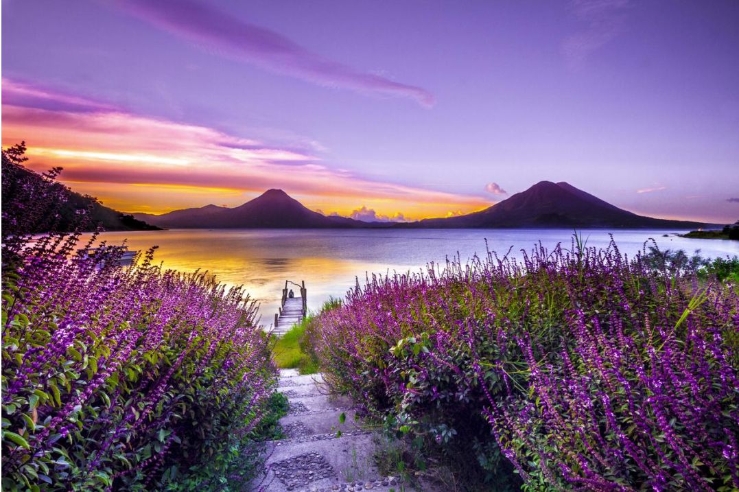 Panorama parco avventura