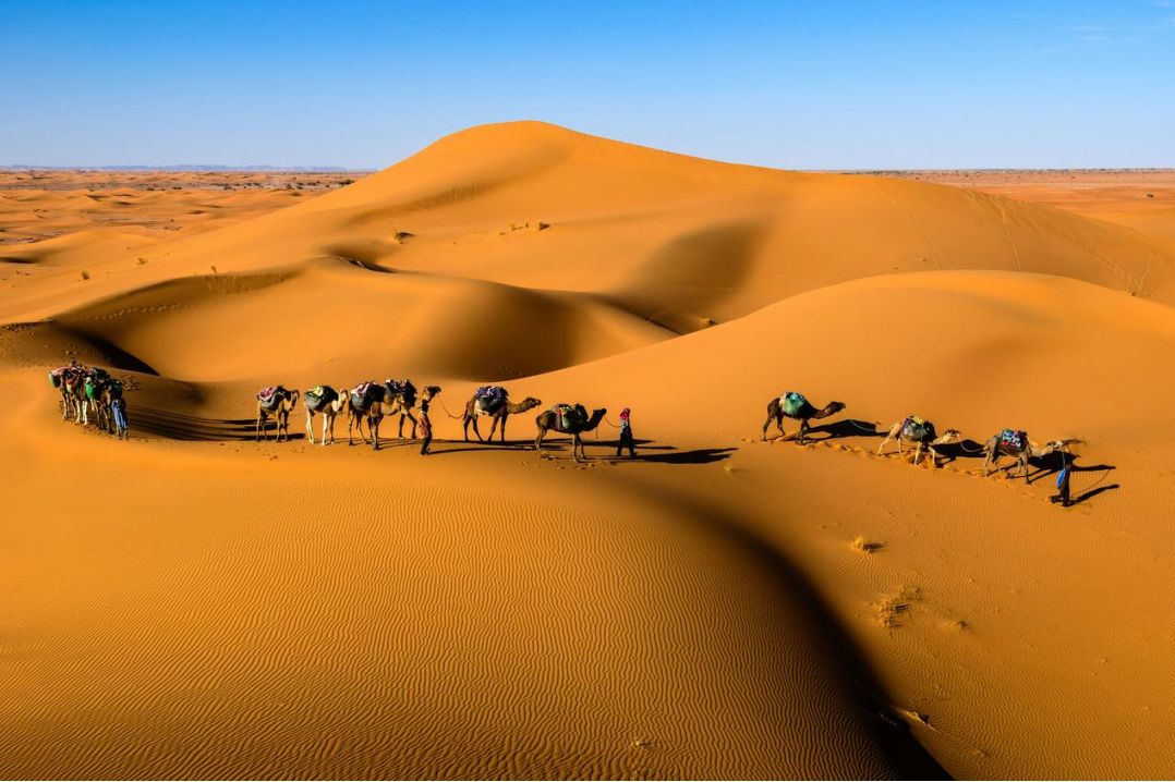 Famiglia su percorso avventura