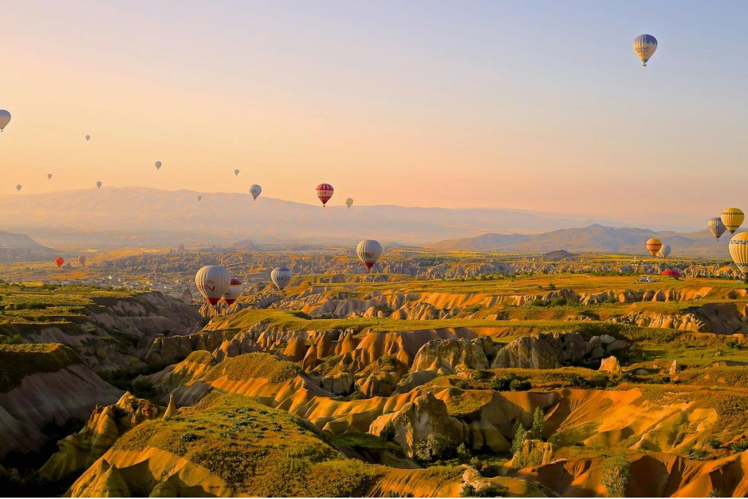 Adventure park boschivo