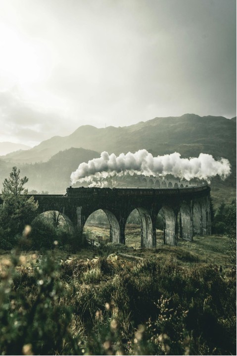 Attrazione acquatica